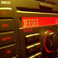 BeeGee - FG Digital 19.14.2019