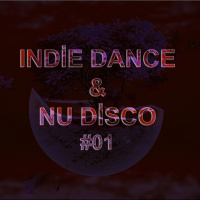 Serkan Ucar - Indie Dance amp Nu Disco #01