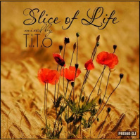 T.i.T.o - Slice of Life