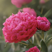 K Loveski MIDSUMMER MIXTAPE 2025