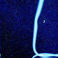 Light Path Extension