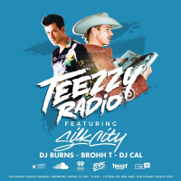 Teezzy Radio Feat Silk City