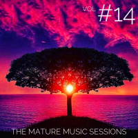 The Mature Music Sessions Vol #14 - Iain Willis