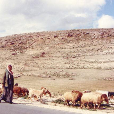 Raymond Mccullough - Irish Podcast