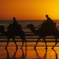 House From Agadir #31 / SUMMER TIME- sea sex and sun