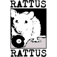 Bass Drugs And Festivals Mix