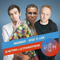 Haddaway - What Is Love (DJ Nejtrino  DJ Stranger Remix)