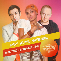 Imany - You Will Never Know (DJ Nejtrino  DJ Stranger Remix)