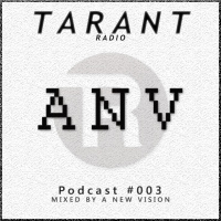 TaranT Radio: Podcast #003 Mixed by A New Vision - ANV
