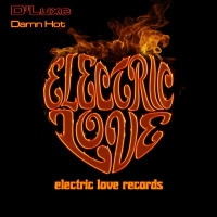 Boogie Bitches - Damn Hot (Original Mix)