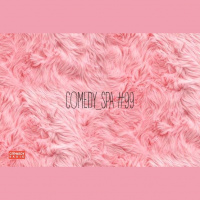 COMEDY RADIO ComedySPA 99
