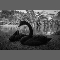 Slow Creativity | Yoshinocast #18