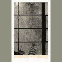 AD 258 | Wesley Stringer