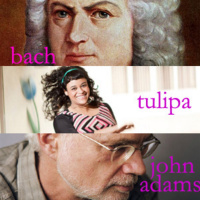 Set 18 - Bach. Di Sabbato. Tulipa Ruiz. John Adams
