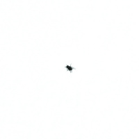 #20 - Walter Franco - Ou Não (1973)