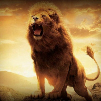 ART OF WAR (LION OF THE TRIBE OF JUDAH)