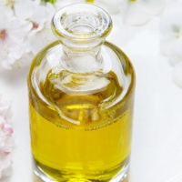 TOUCH NOT MY ANOINTED