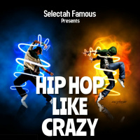 DJ BOLDFACE - SUNDAY SESSIONS VOL 2 - HIPHOP LIKE CRAZY