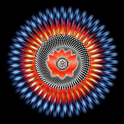 Morgan Goa Prog Liner