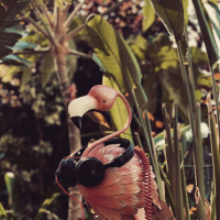 Tropical Techno Livestream 03/07/2020