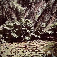 Tropical Techno Podcast 27/06/2021 (3 Deck Mix)