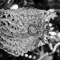 Tropical Techno December 2021