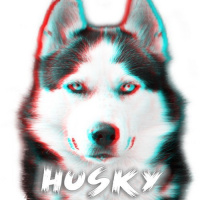 Tony Igy - Dust (The Husky Remix)