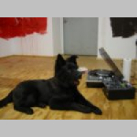 From Harlem 2 Berlin