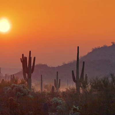 Franck Matthews Presents: Desert Winds