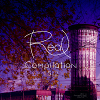 Real Compilation 15.2 part 2