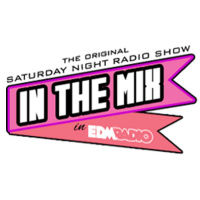 Promo In The Mix 2013