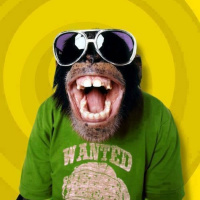 DWN NDR DRMS 3P1S0D3 009 29.01.2014 Special