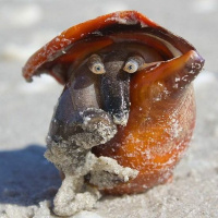 Rough Sketch: I Will Recognize You