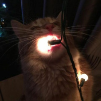 Pale Orange City Lights - Noisy Piano Demo