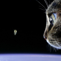 Satellite Orchestral