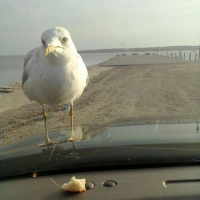 Merciless - Instrumental