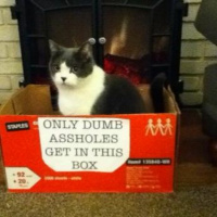 Hardcore Prophecy: Chapter 7, version 1.0