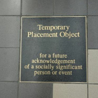 Oh You Temporary Thing