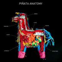 Introduction To Home Acupuncture