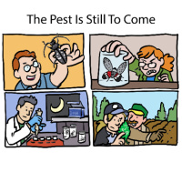 The Pest Is Still To Come (Delstar Techno Mix)