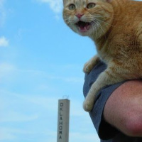 Oklahoma - Dining Room Demo