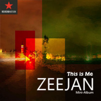 I Wont Give Up- Zeejan