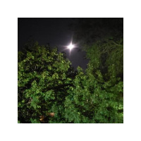 Shine On! Shine Your Light Mix Show w/Dj Shyheim Sept 2019