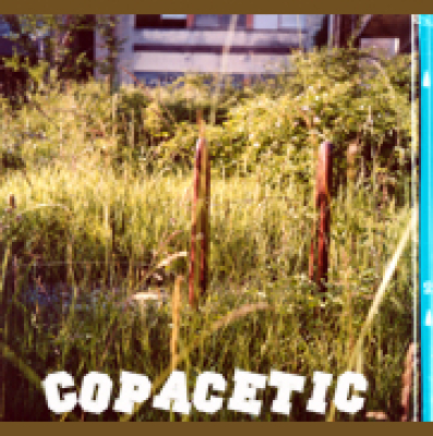 Copacetic