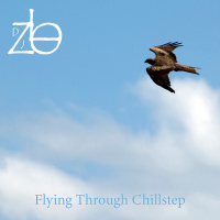 Dj Zlo - Flying Through Chillstep