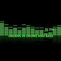 Dj Zlo - Dreams in Drums and Bass