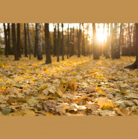 Alexei Smirnov - The World keeps on girl 37 mix