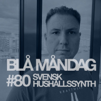 #80 Svensk hushållssynth