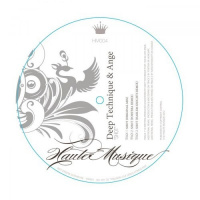 Deep Technique  Ange - Shot (Original cut Mix)