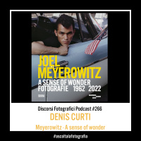 Denis Curti ci parla di Meyerowitz – A sense of Wonder